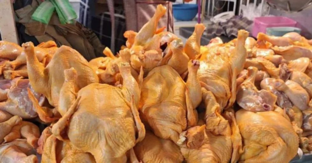 Gobierno anticipa desabastecimiento nacional de carne de pollo debido a bloqueos evistas