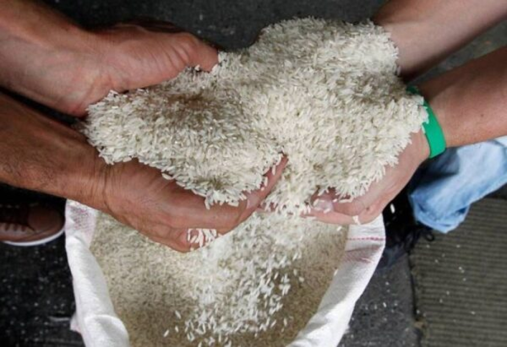 Producción de arroz, maíz, soya y otros alimentos mejora en 2025 respecto a años pasados