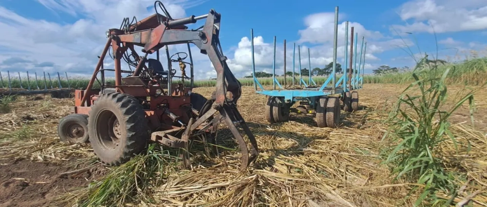 Falta diésel para encarar la zafra; hay más de 180.000 hectáreas de caña y 20.000 empleos en riesgo