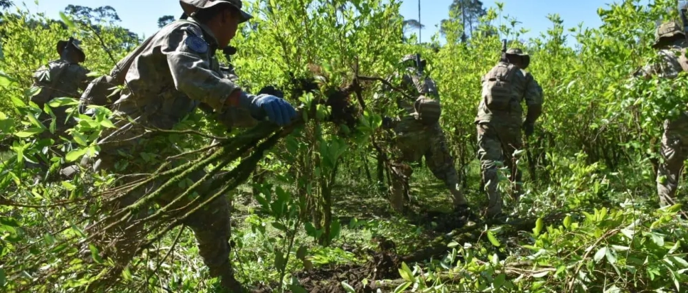 En Yapacaní dieron 72 horas a los uniformados que realizan erradicaciones para que abandonen el lugar